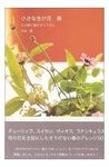 春編