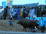 大興奮